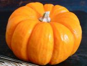 Stärkung des Immunsystems